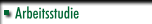 Arbeitsstudie
